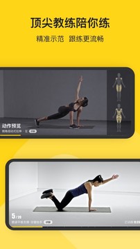 it破解版吾爱破解2020下载
